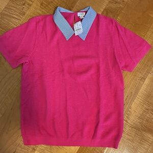 J Crew pink sweater with blue and white stripe collar. Size large. NWT.